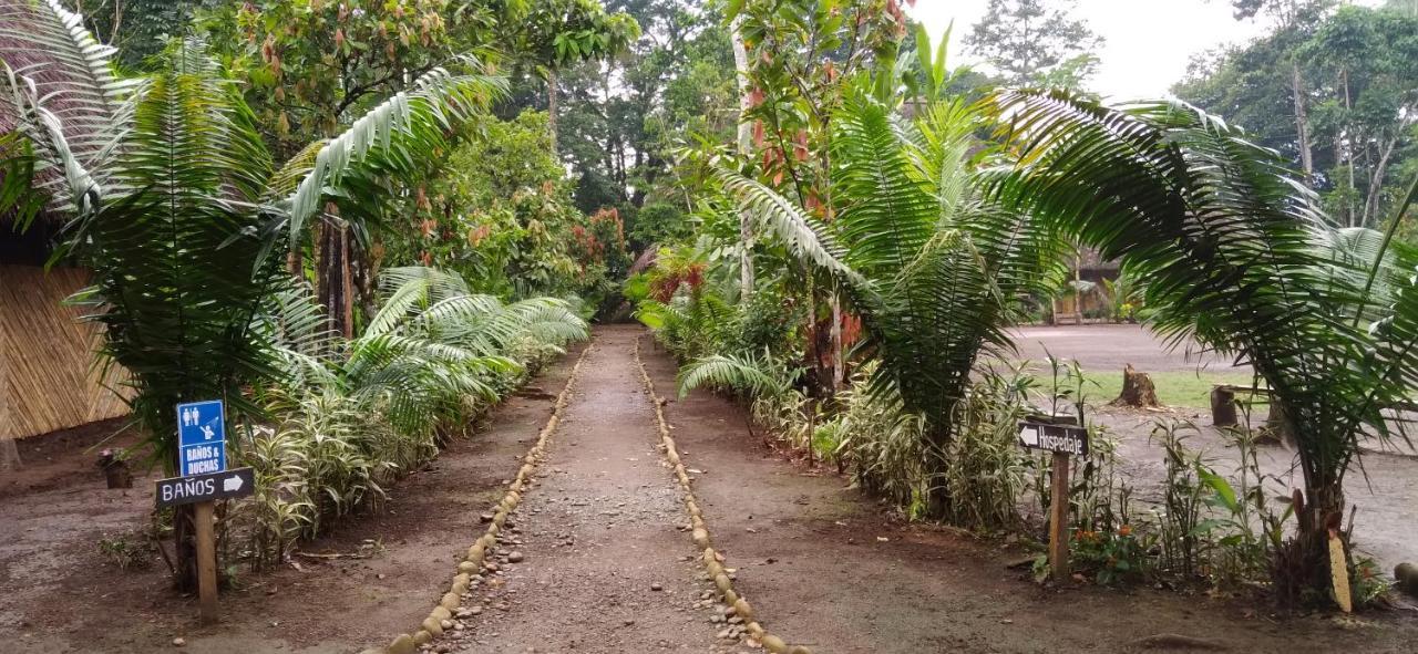 Shipati Lodge Puerto Misahuallí Zewnętrze zdjęcie