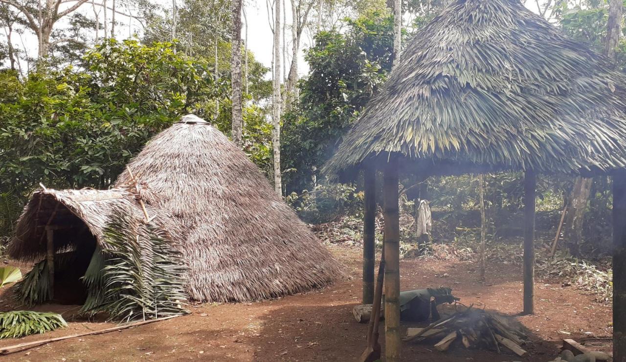 Shipati Lodge Puerto Misahuallí Zewnętrze zdjęcie